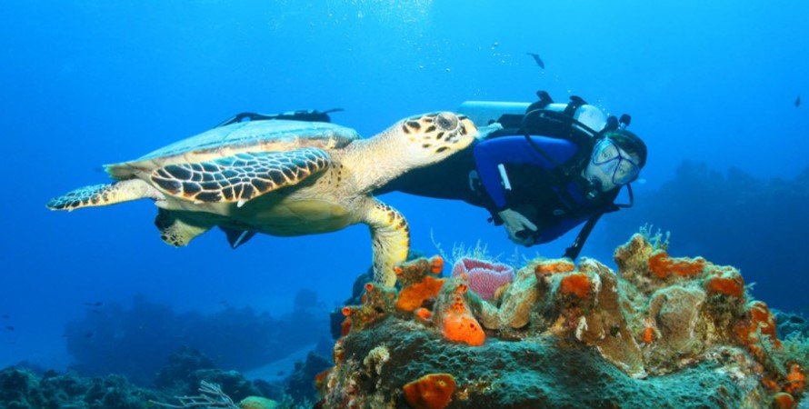 Coastal and Marine Research Centre - Malindi